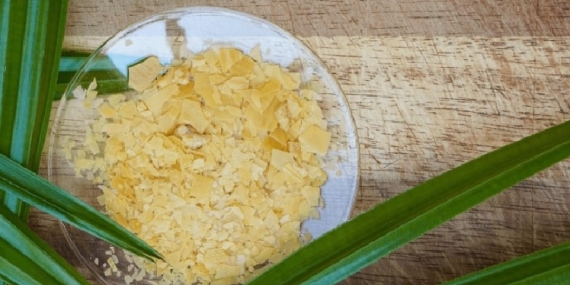 Karnauba Mumu ve Güzellikteki Herkesin Bilmediği Uygulamaları