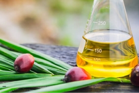 Palm Yağının Cilde ve Genel Sağlığa Faydaları Neler