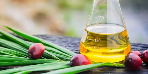 Palm Yağının Cilde ve Genel Sağlığa Faydaları Neler