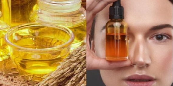 Pirinç Kepeği Yağının Cilde ve Sağlığa Faydaları