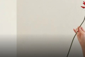 Şu Anda Moda Olan En Şık ve Güzel Şifon Bluz Modelleri k