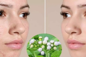 lantana-ciceginin-cilde-faydalari-k